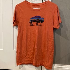 Patagonia Organic Cotton Tee